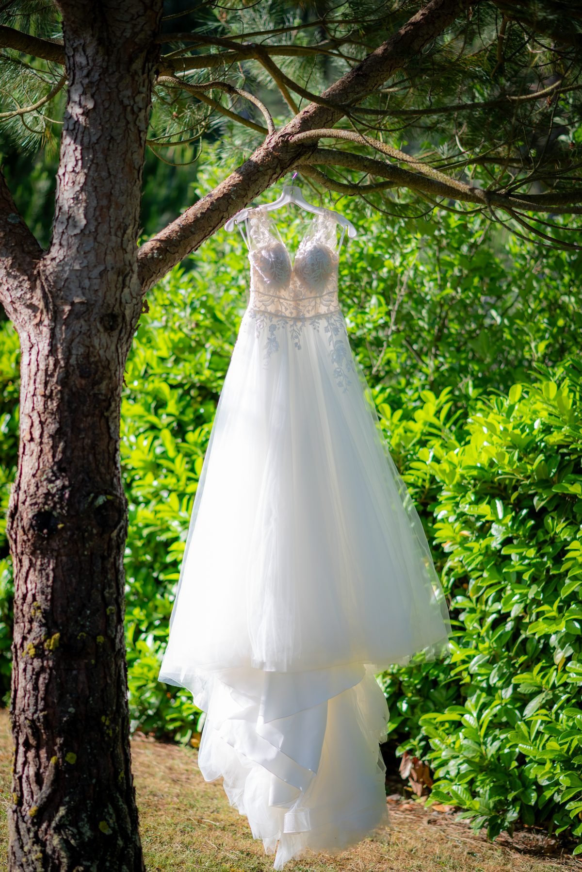 Preparativos do casamento — foto 4